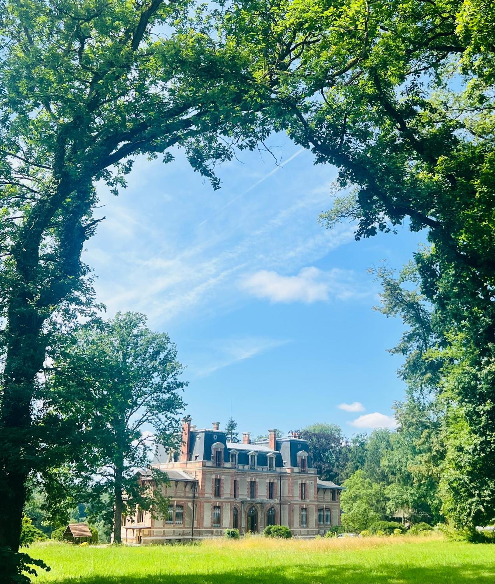 Chateau De Crenille Chaumes-en-Brie Exterior photo
